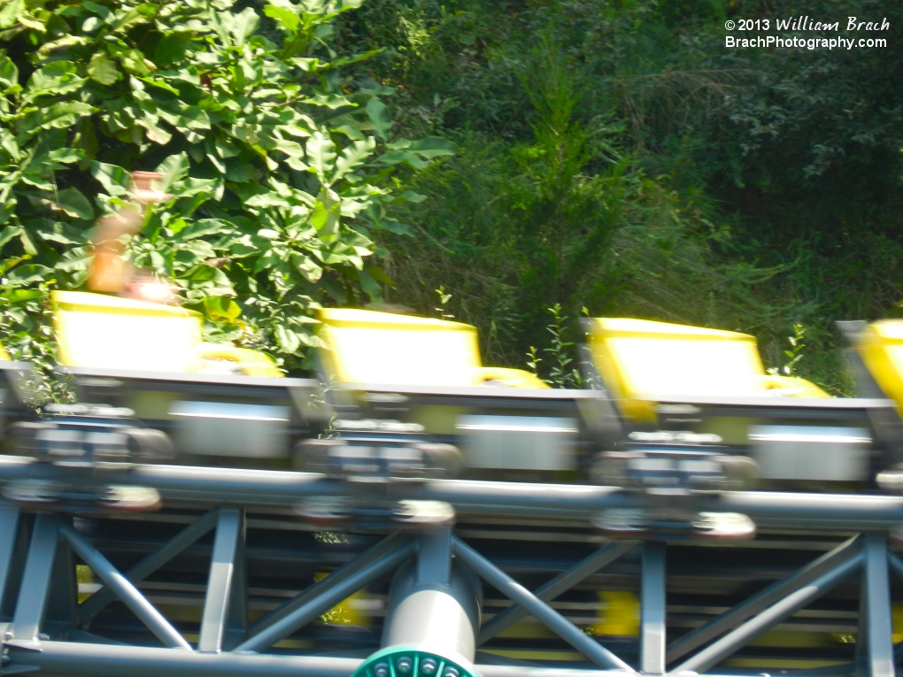 Yellow train rushing the Rhine!