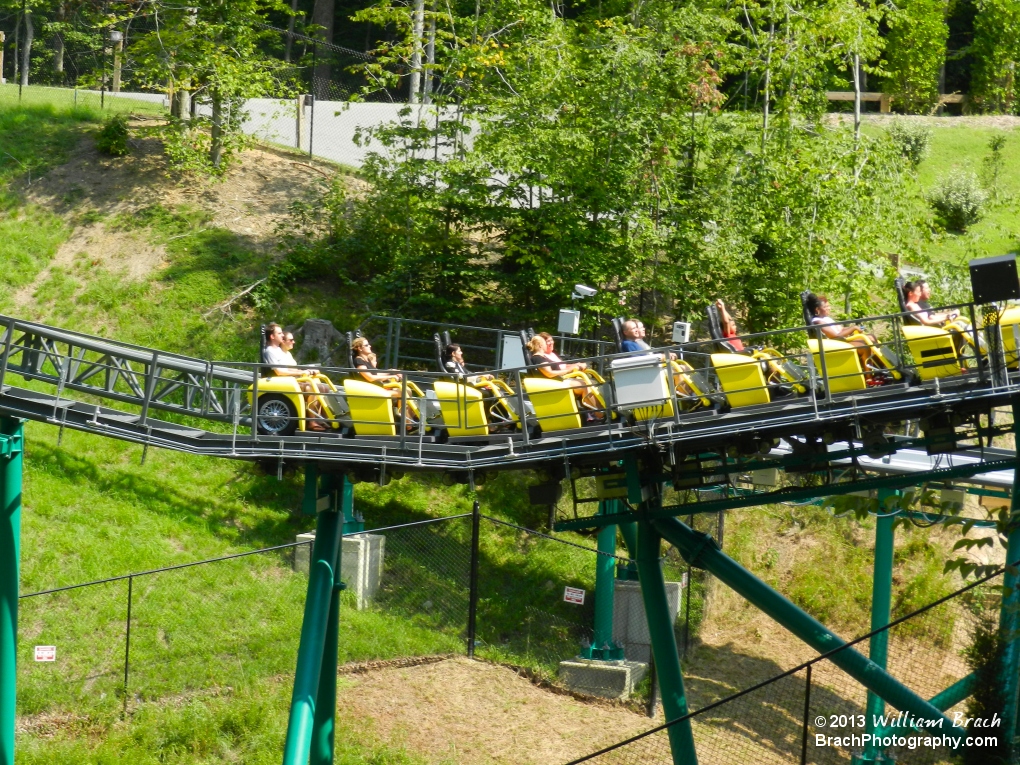 Yelklow train entering the Black Forest!