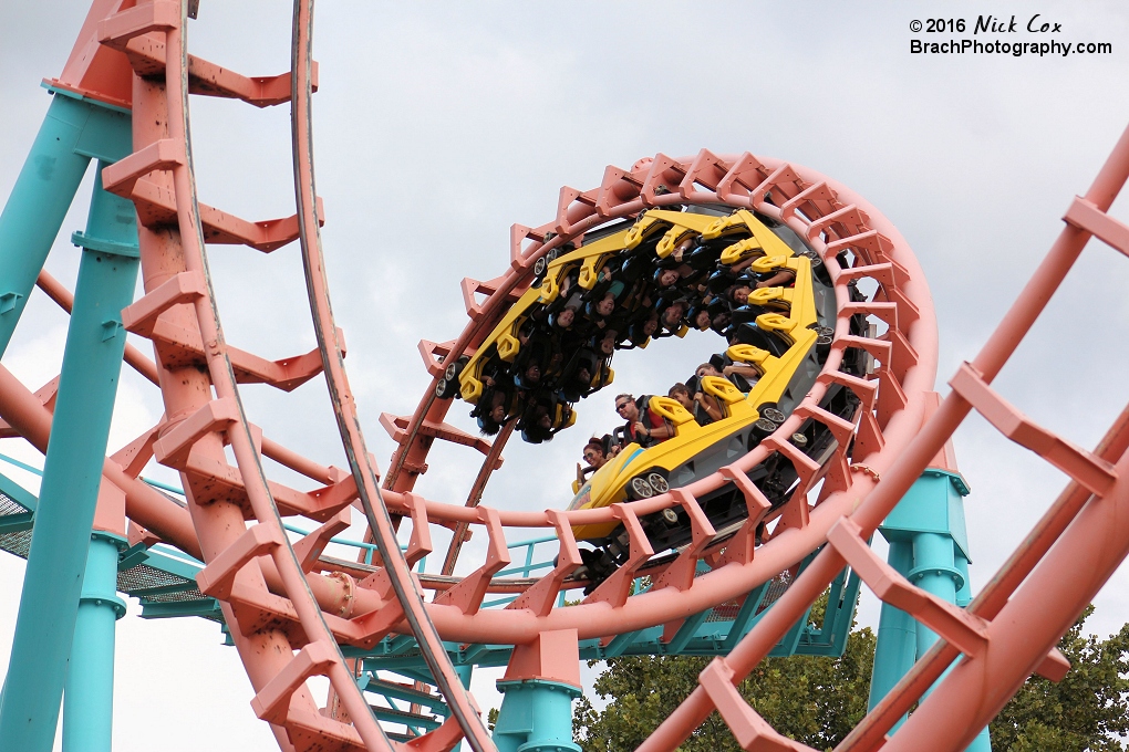 The train headed through the cobra roll.