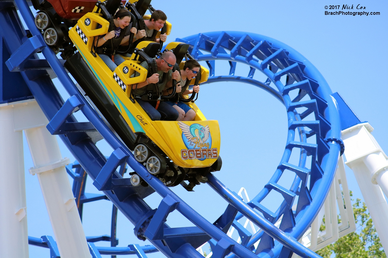 The train exiting (or entering) the cobra roll.