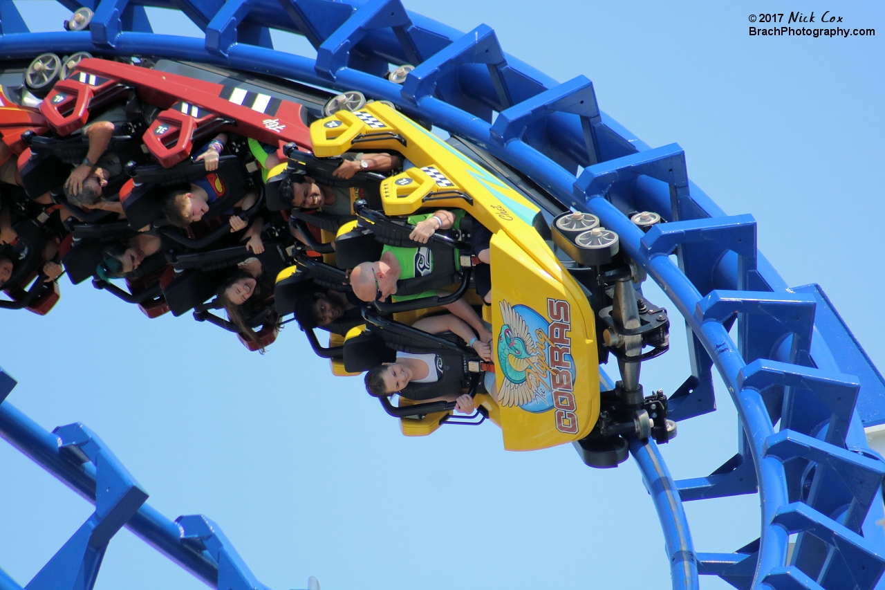 The train in the cobra roll.