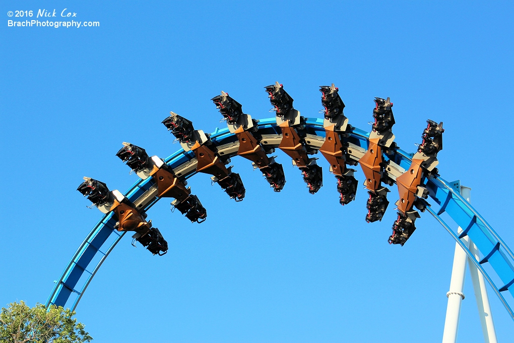 The train going through an inversion.