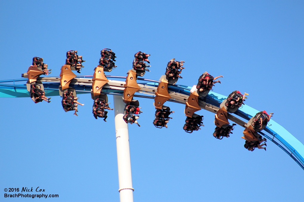 A front shot of the train going into its first inversion.