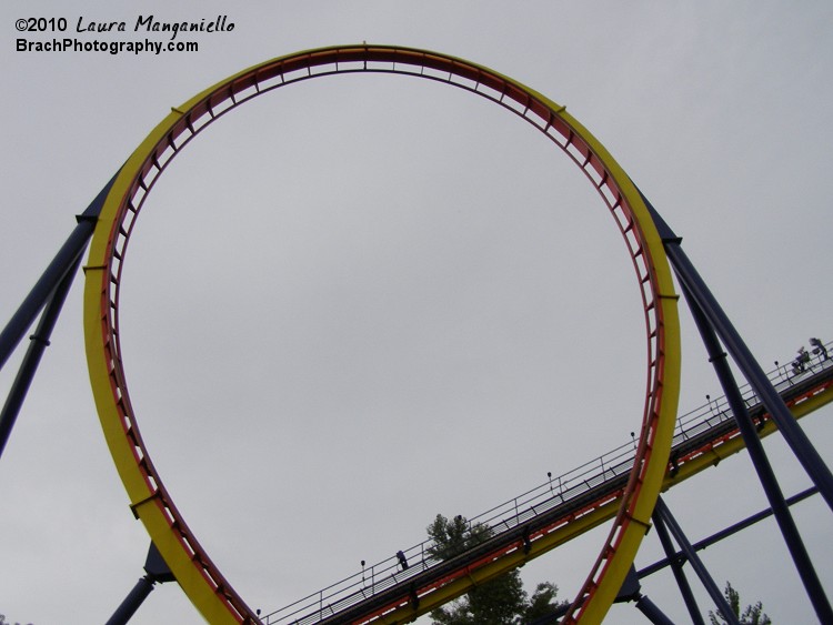 Another view of Mantis' vertical loop.