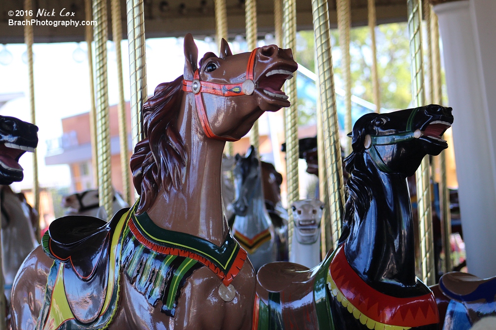 The carousel.