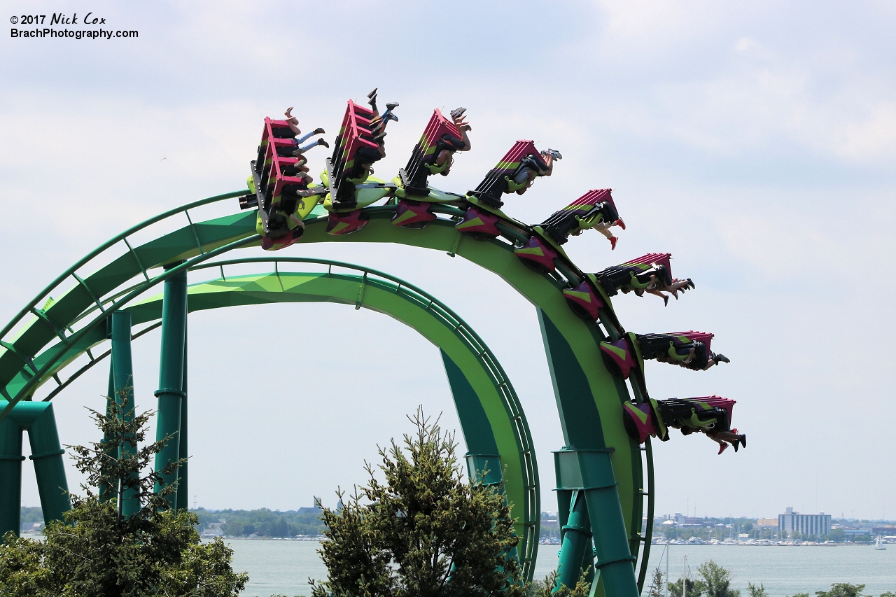 The train exiting the cobra roll.