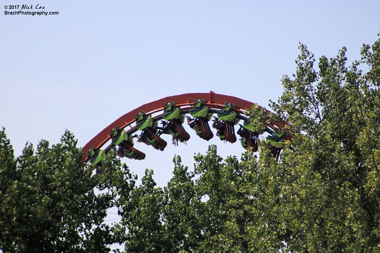 A Rougarou lurking through the trees.  Isn't it supposed to be in a swamp?