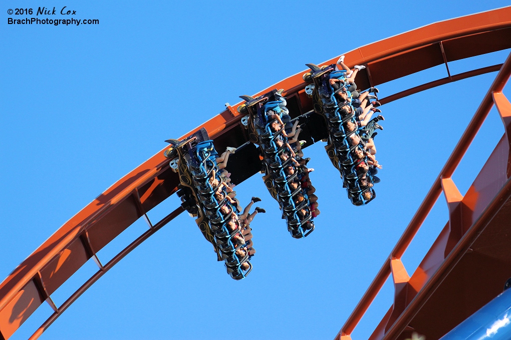 The train going through the first inversion.