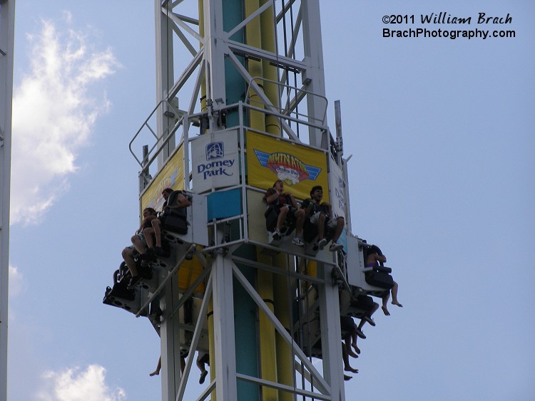 Riders dropping on Dominator.