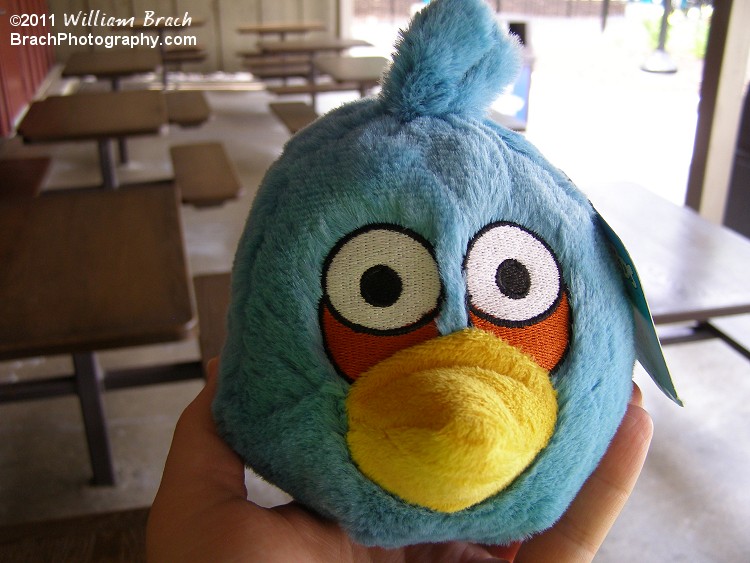 Laura won this Angry Bird guy for me.