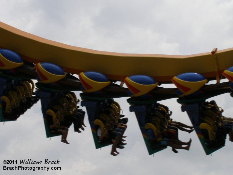 Looking up at a Talon train running the course.