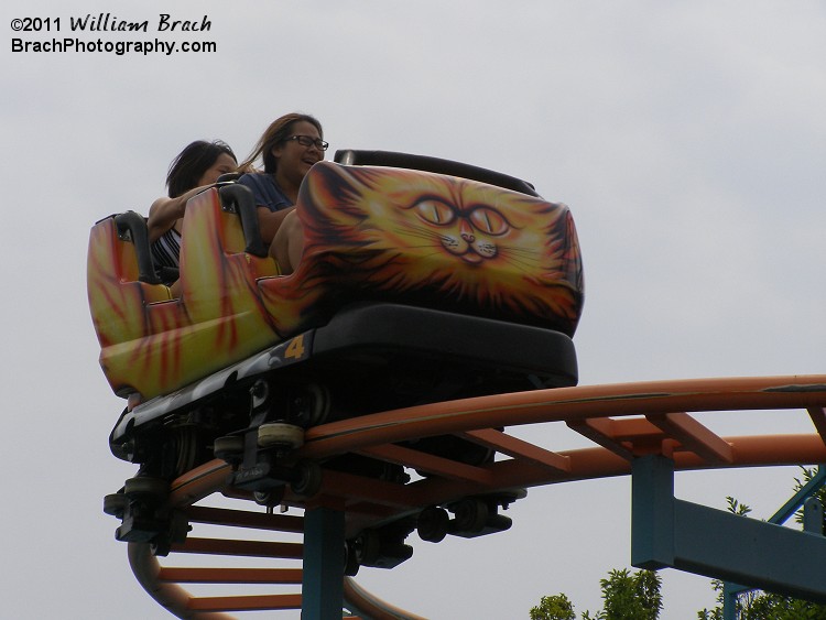 Quick and tight turns aplenty on Wild Mouse!