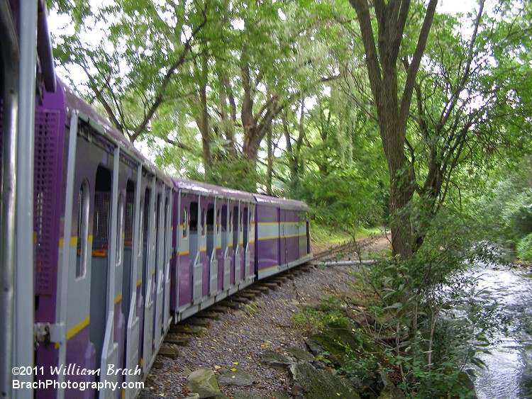 Traveling through the woods on the train.