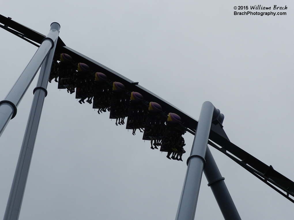 Great Bear train rolling down the first drop.