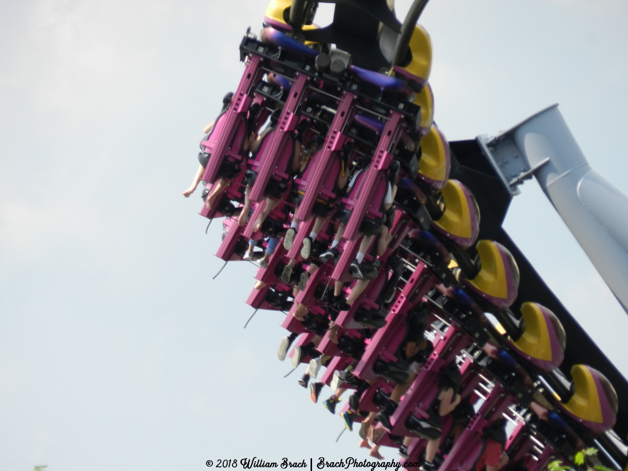 Train on Great Bear going down the first drop.