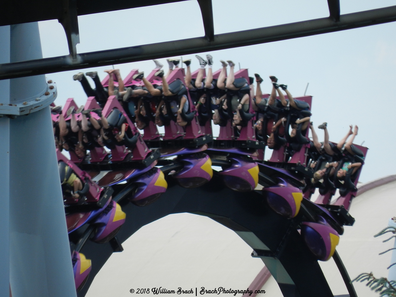 Great Bear train going through the vertical loop.