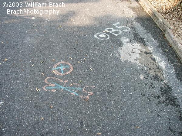 Taken in July 2003 while walking up the path from Trailblazer over to Sidewinder and I saw this marker on the pathway.  Little did I know back then that this would be the location of a support for the to-be-built Storm Runner.