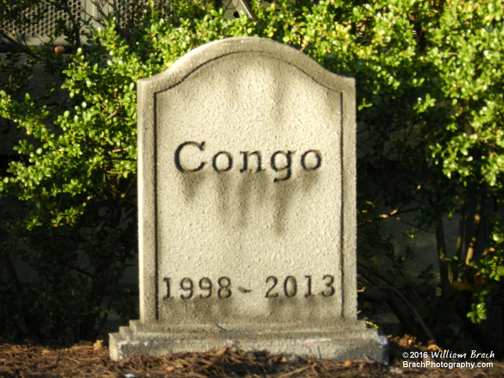 Toombstone for the Congo themed area of the park.  It was replaced with the original Safari Village in 2014.