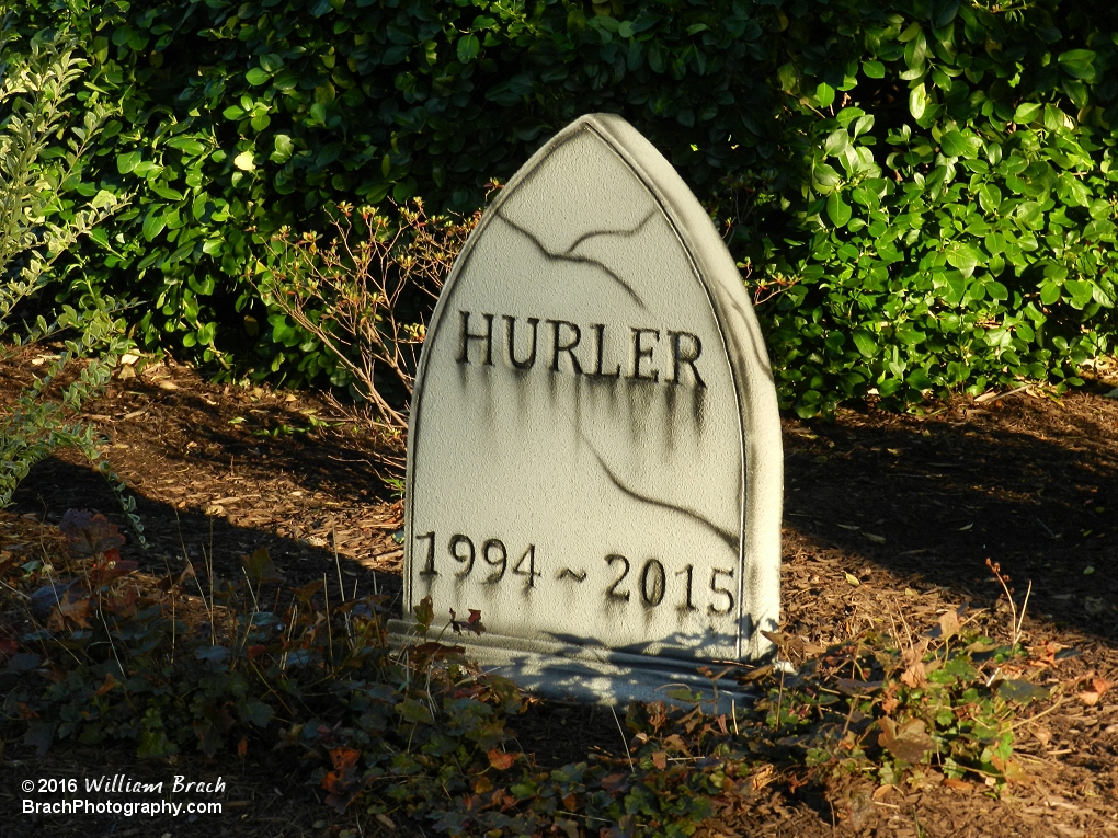 Hurler was officially closed at the end of the 2015 season.  Never to reopen for the 2016 season.  Now that it has a toombstone, proves that it has been killed off as a coaster.