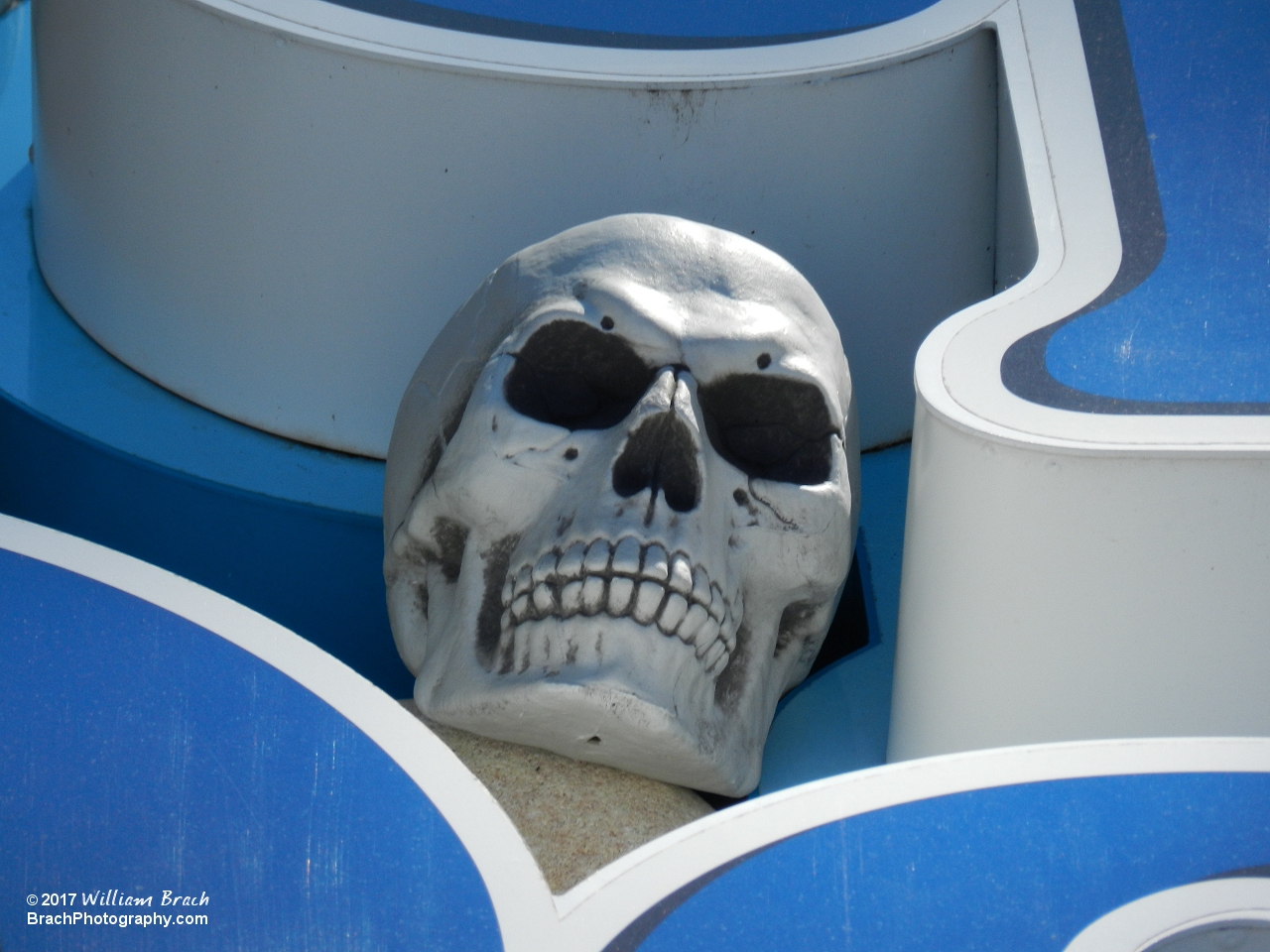 Evil looking skull at the front of the park.