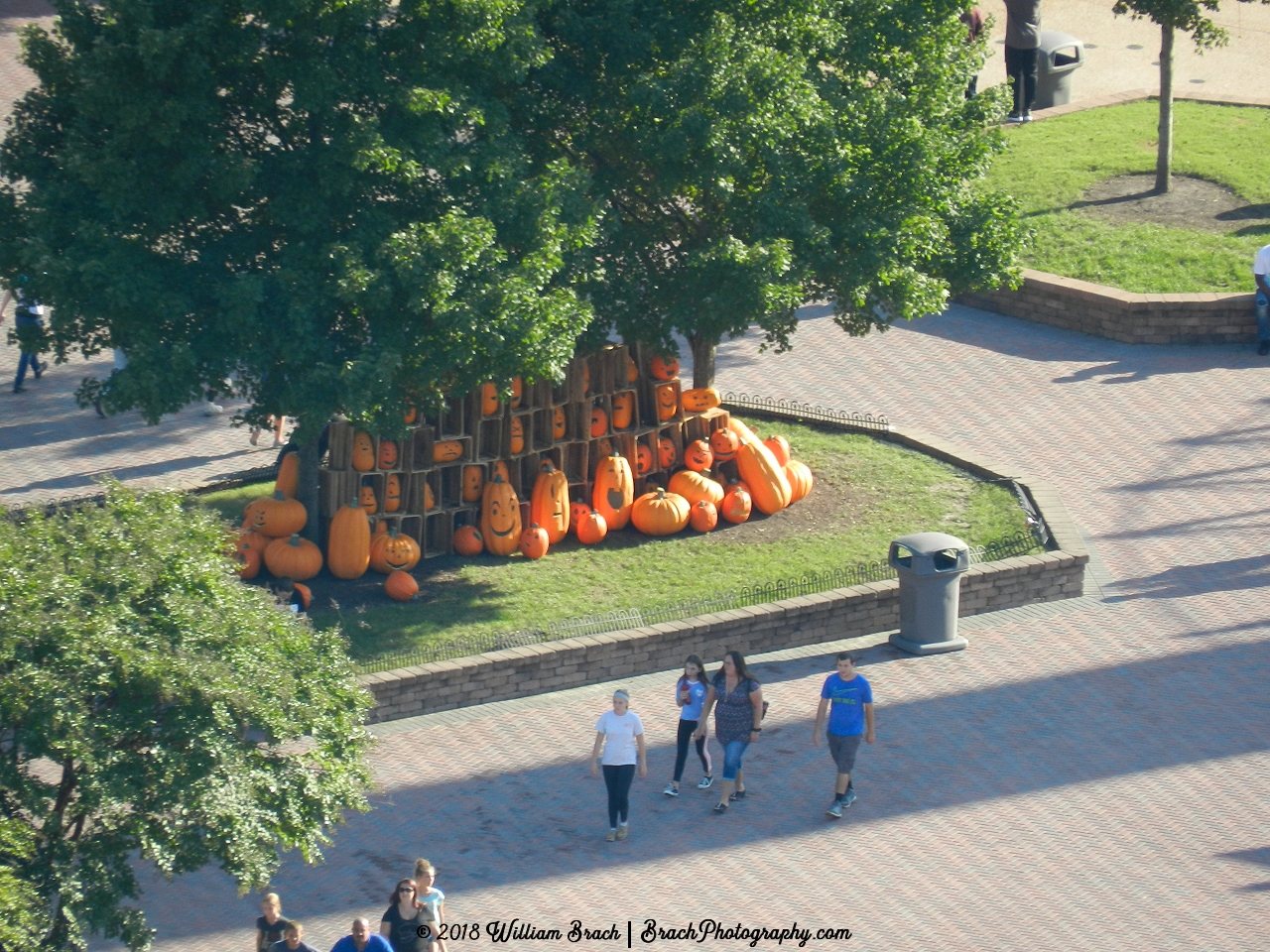 Cleverly carved Jack-O-Lanterns sitting around a tree.