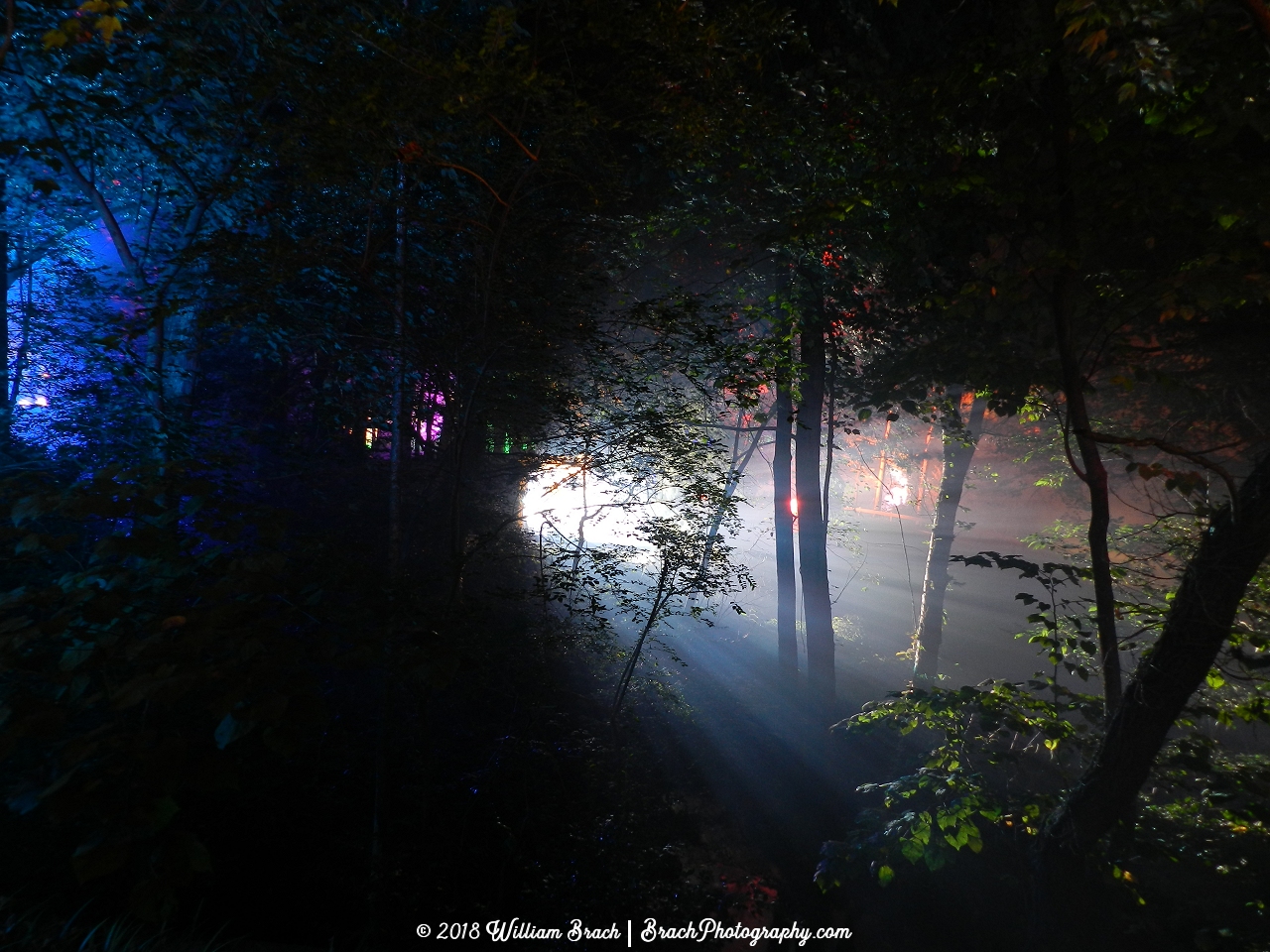 Light illuminating an area surrounded in fog helps to create a much much scarier enviroment.