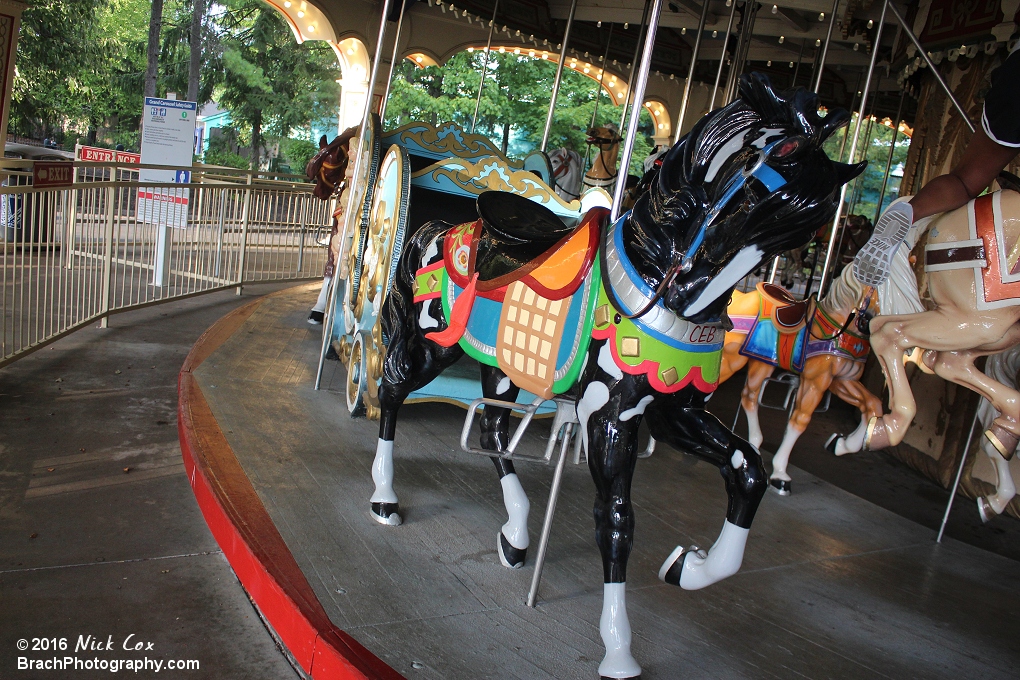 Horse on the carousel.