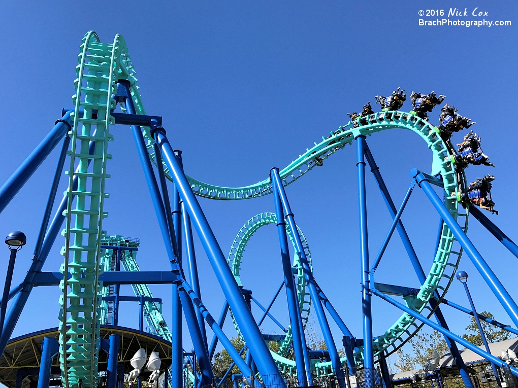 The train going through the cobra roll.