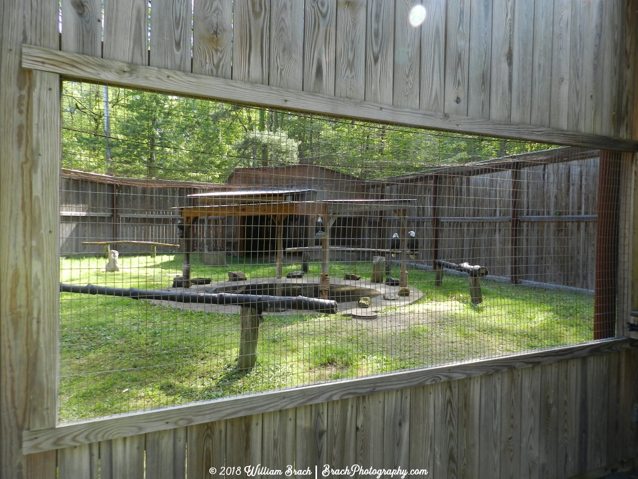 Eagle Encounters enclosure.