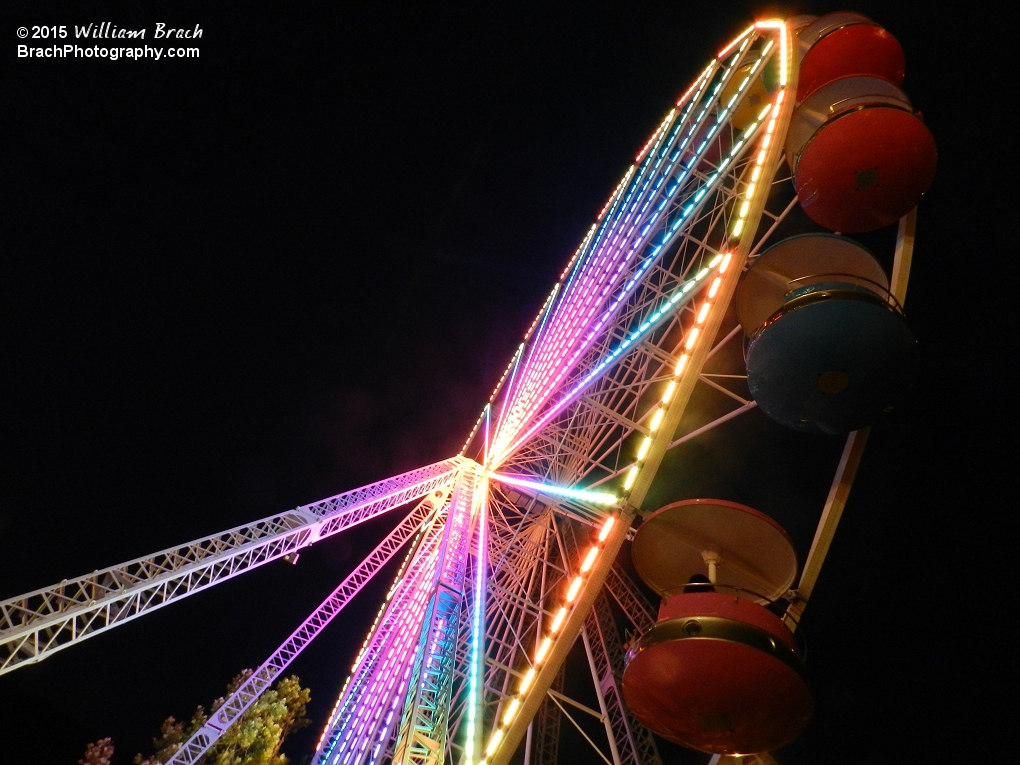 This photo was awarded 4th Place in the Designs and Patterns Category at the 2015 Montgomery County (MD) Agricultural Fair Photography Competition.