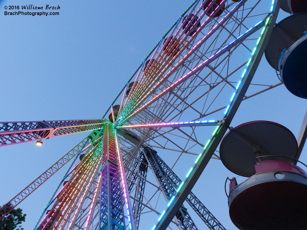 I have a similar photo that won an award at the 2015 Montgomery County Agricultural Fair in Gaithersburg, Maryland.