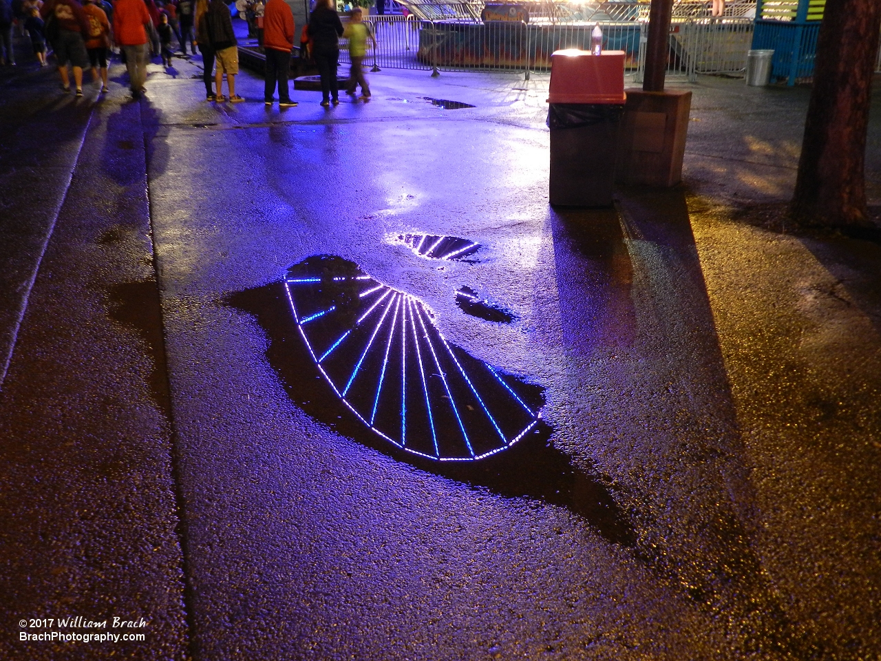 Reflections of the Giant Wheel in a puddle of water at night.