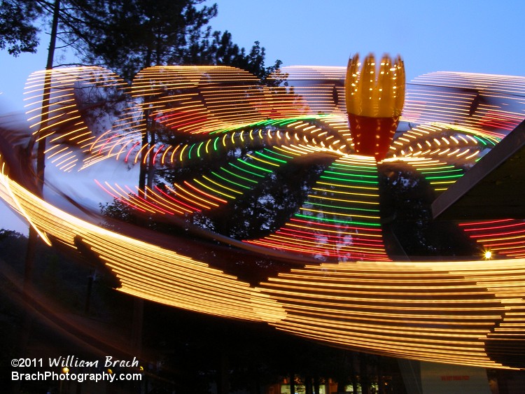 I just love photographing lights in motion!