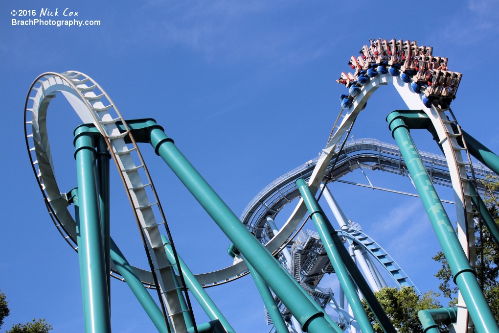 The train in the first inversion of the cobra roll.