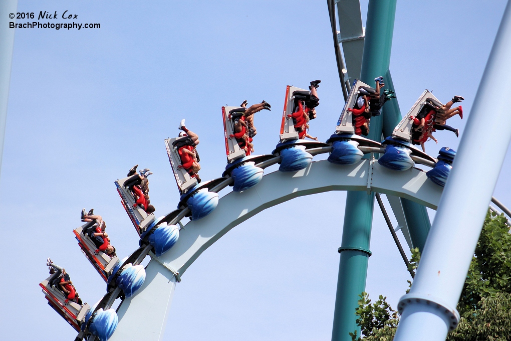 The train in the vertical loop inversion.