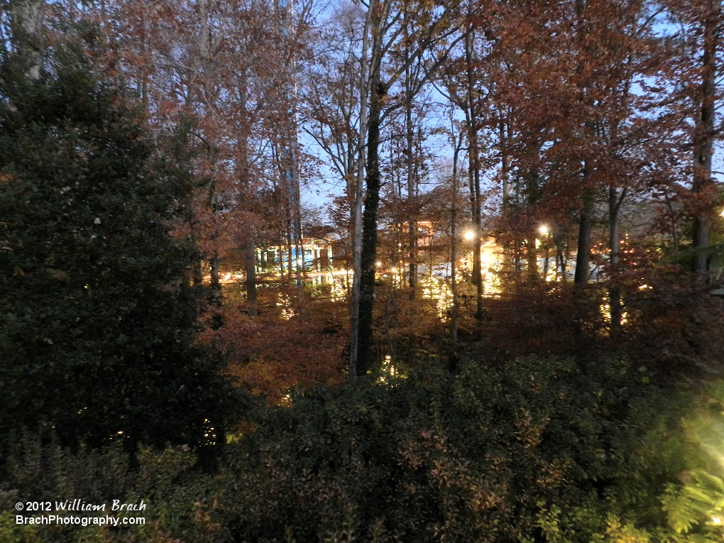 Looking through the woods to the Germany section of the park and there are these little trees all decked out in lights.