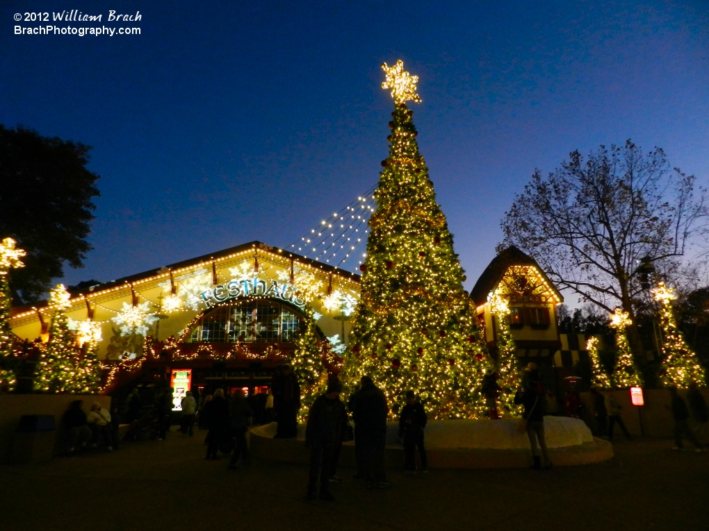 Beautifully lit tree infront of the Festhaus in the Germany section of the park.