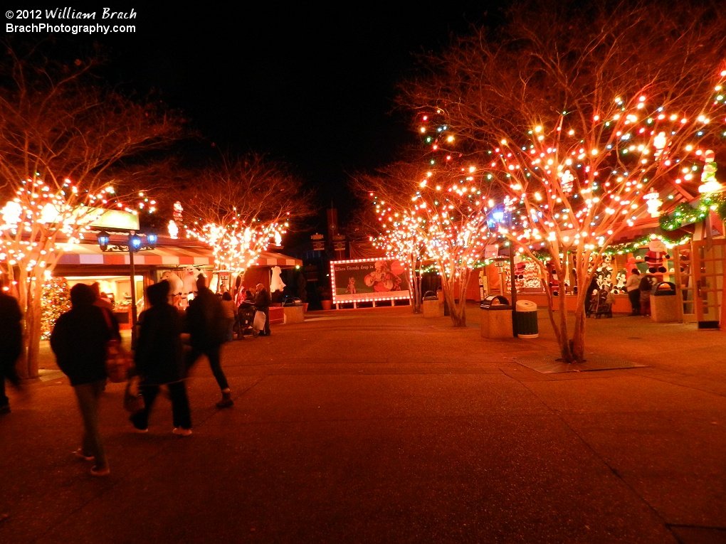 Lights in Holiday Hills.