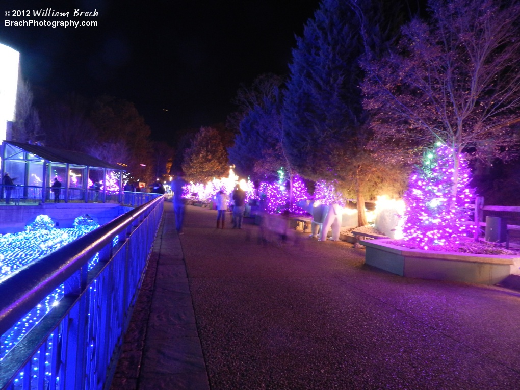 Walkway by the Polar Pathway.