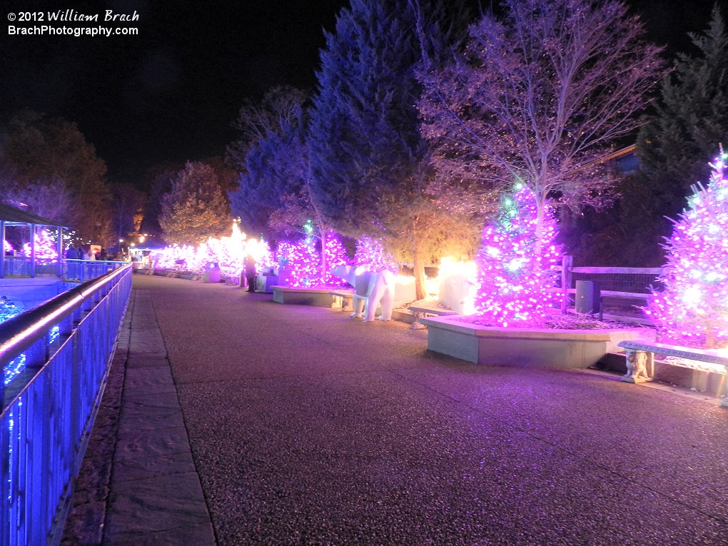 Walkway by the Polar Pathway.