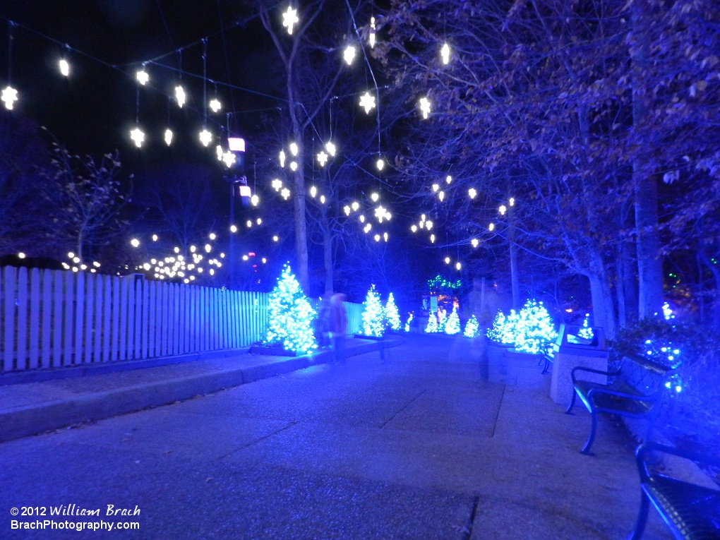 Busch Gardens really did a nice job with Christmas Town 2012.  Here's another view of the lights in Scotland.