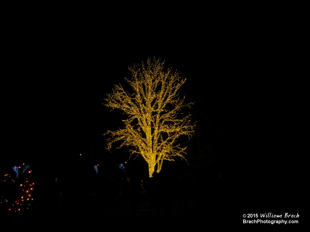 Holiday Hills tree all lit up.