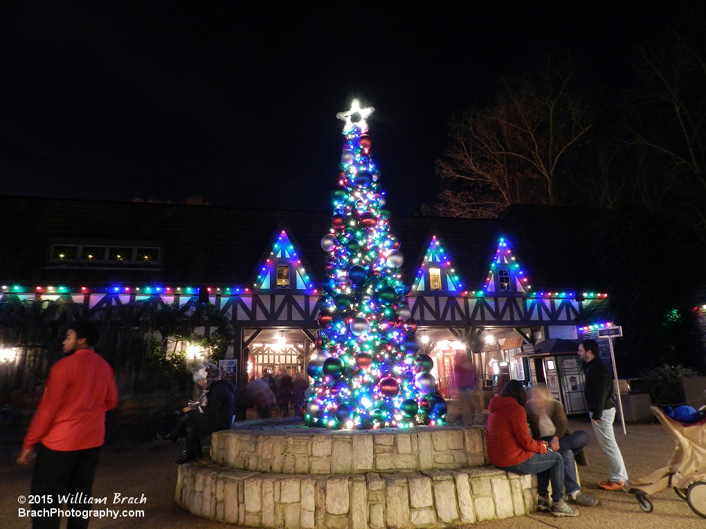 The tree just as you enter Busch Gardens.