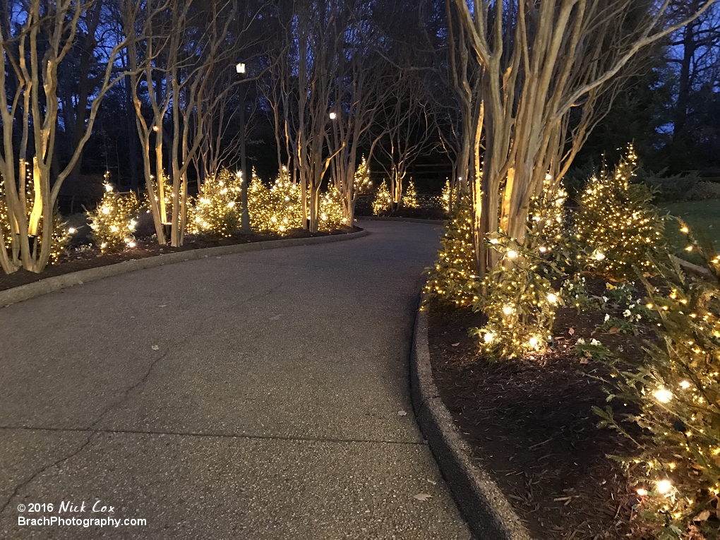 A lit path from Holiday Hills towards the exit.