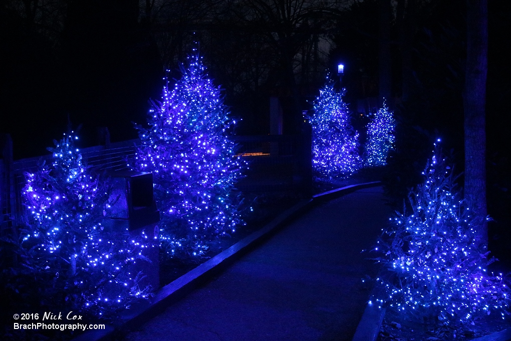 Lights in Scotland.