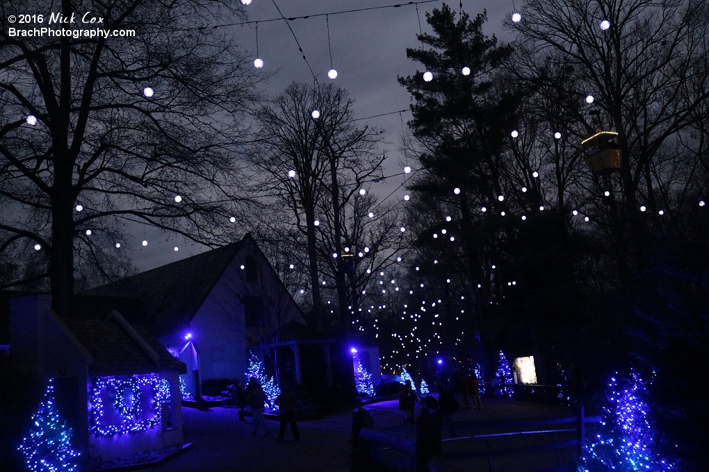 Lights in Scotland.