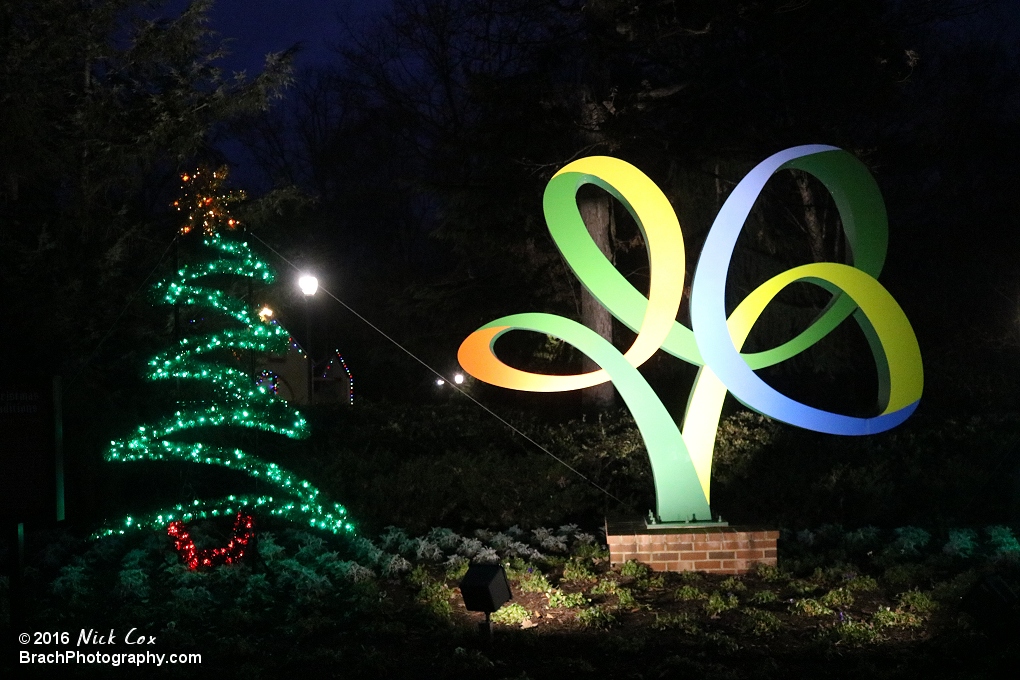 The Coaster Tree with a Christmas Tree.