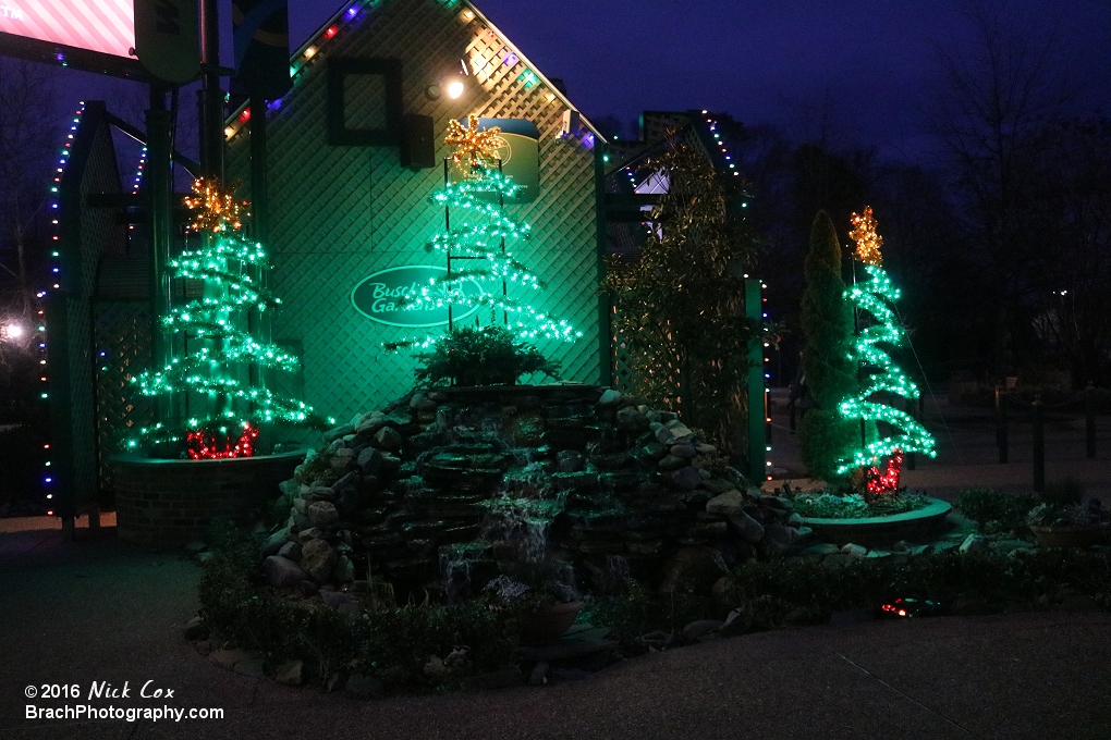 Christmas Trees with the Waterfall.