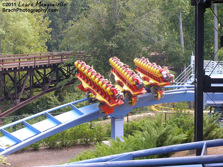 Massive Griffon train now at the bottom of the lift hill.