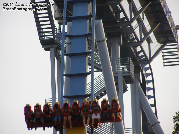 Train dropping down the first drop.